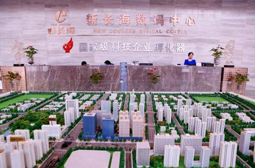 樓宇經(jīng)濟(jì)賦能中小微 新長(zhǎng)海服務(wù)外包基地的稅務(wù)解憂之道
